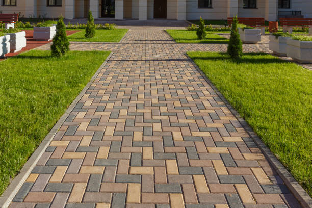Best Driveway Paver Repair  in Elk River, MN